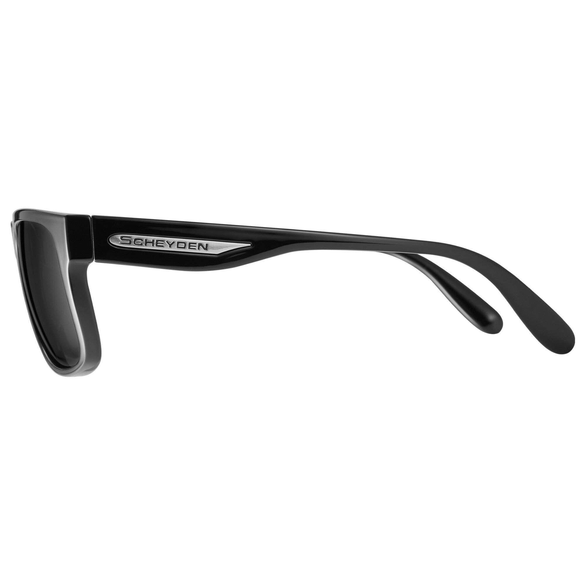 ショーンSPです。 Looper Polarized – Scheyden